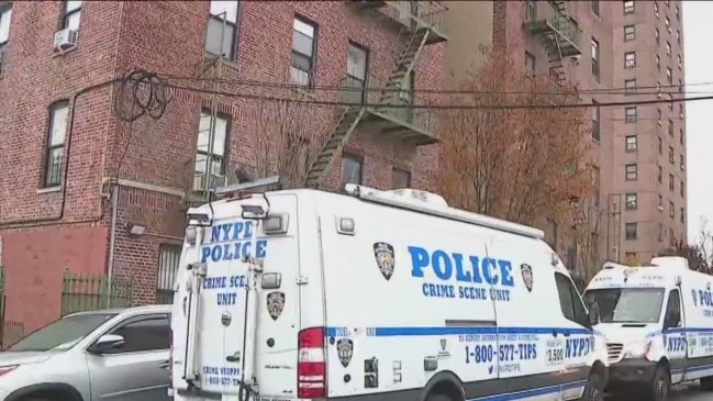 5-year-old boy among 3 dead in Bronx stabbings | news.com.au ...