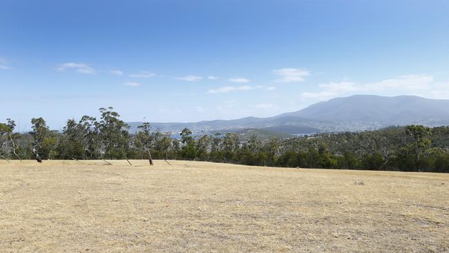 An eco-tourism development worth up to $50m is being proposed for a bush block in Risdon Vale. Picture: MATT THOMPSON