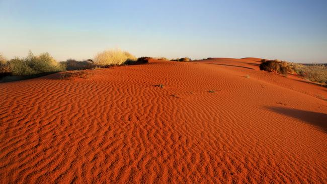 A sand dune at sunrise in the Simpson Desert, outback Australia.