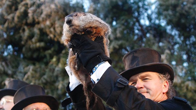 It’s Groundhog Day! Punxsutawney Phil predicts six more weeks of winter