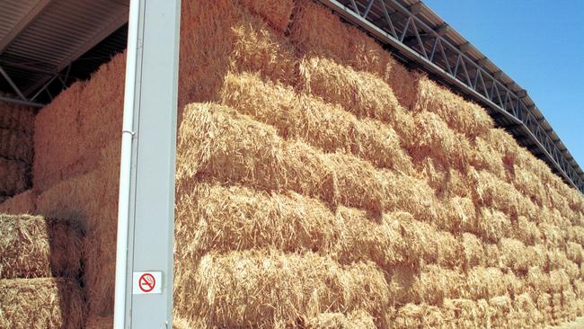 This shed near Elmore is holding 4,000 large square bales of hay.