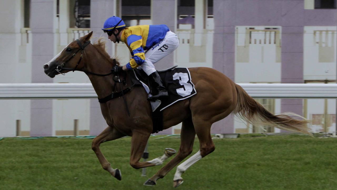 The Neville Layt trained racehorse Karuta Queen with apprentice jockey Tommy Berry aboard, strolls home with clear air between her and the rest of the field in the barrier trial at Thoroughbred Park in Canberra, ACT.