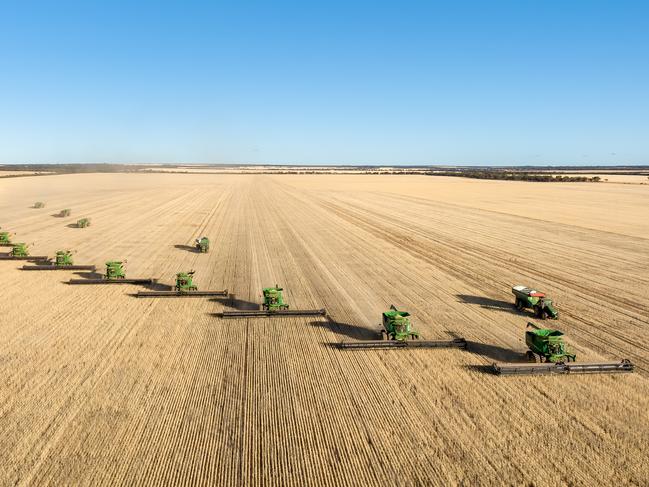 merredin farms the weeky times