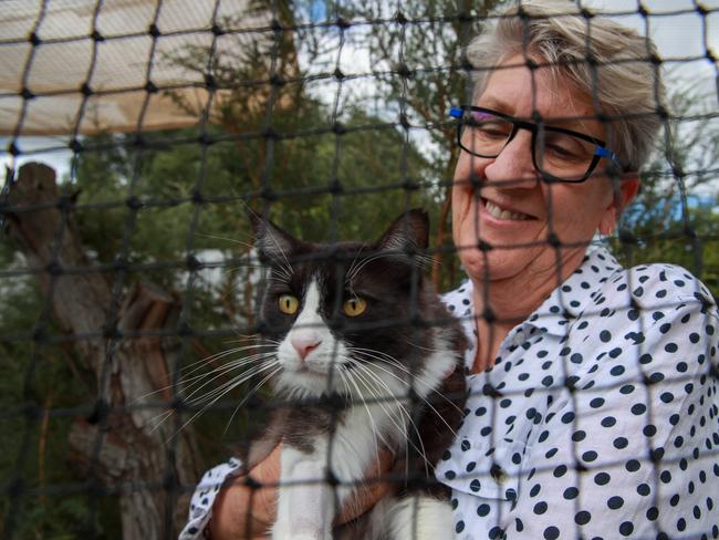 Mary Balch with Rupert in at home in their catio. Picture: Justin Lloyd