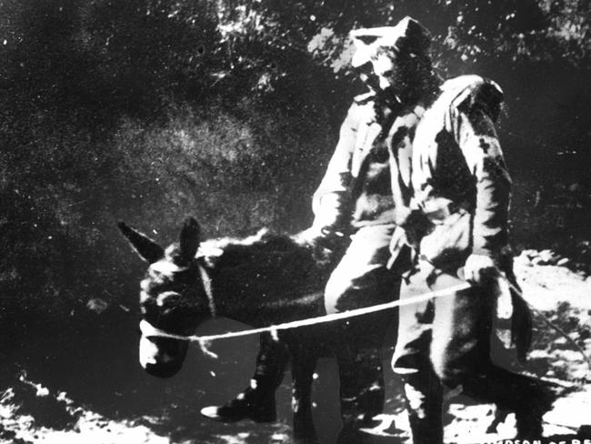 PIRATE: 1915 : John Simpson, his famed donkey and a wounded soldier at Gallipoli during World War One (WWI) in 1915. Pic Australian War Memorial A3114. Australian Armed Forces / Army / Animal Historical Picture: Memorial Australian War