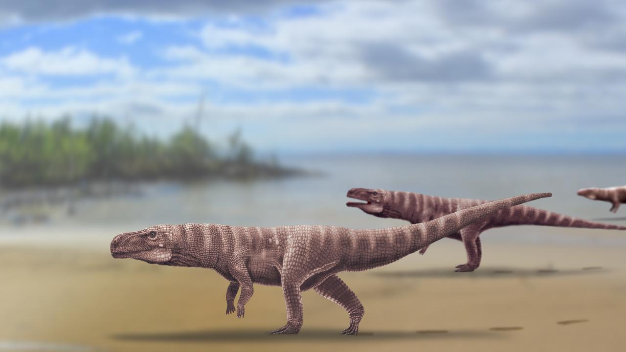 An artist's impression of a bipedal crocodile in the ancient landscape of South Korea. Picture: AAP / The University of Queensland / Dr Anthony Romilio