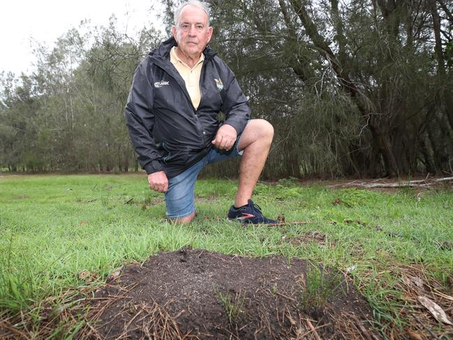 Ron Whitmore beside the nest he has reported in Emerald Lakes. Picture: Glenn Hampson.