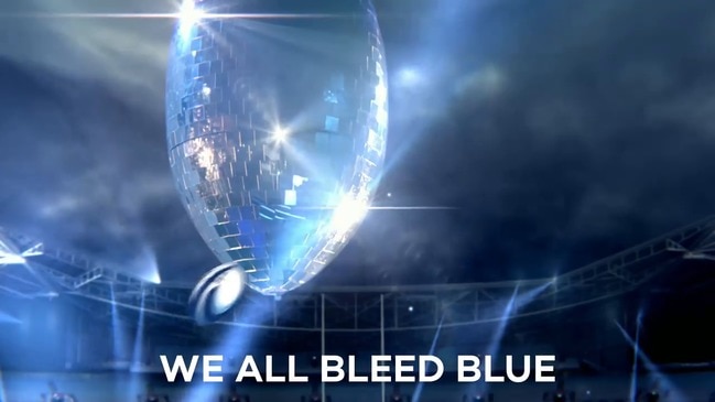 We All Bleed Blue