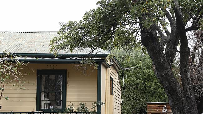 property in Battery Point where a tree overhangs next door