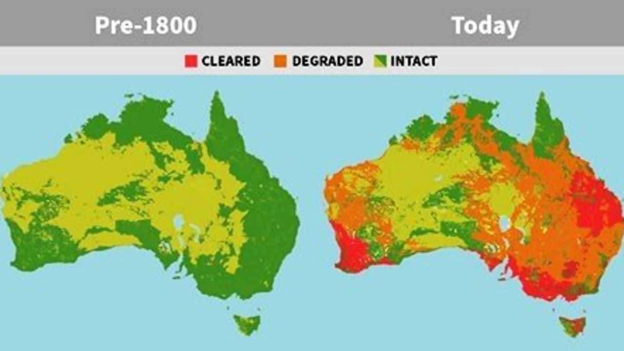This diagram shows how much bushland and forest was cleared across Australia from before 1800 to 2017.