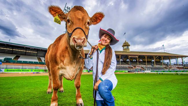 EKKA 2024 - The Led Steer School Paraders Competition. Beaudesert State High School Year 11 student Layne Addy competing in her schools first Led Steer School Parade.Picture: Nigel Hallett