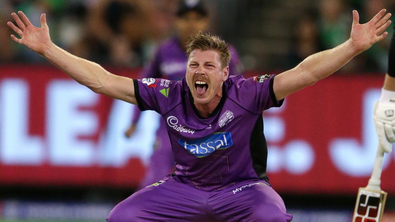 James Faulkner of the Hobart Hurricanes lets out a big appeal during the Big Bash League last season