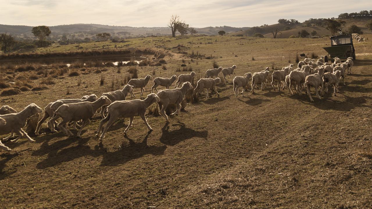 Opinion: Politicians fail on ‘forgotten’ drought