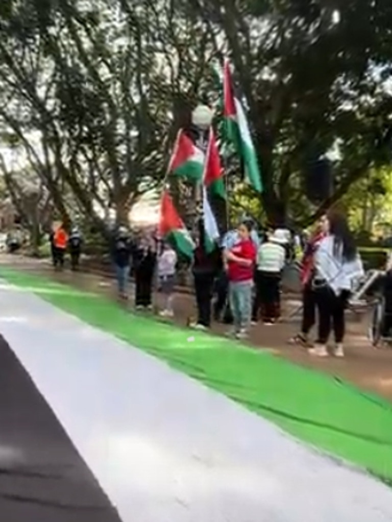 Screen grabs from a video showing the crowd starting to build at the Pro-Palestinian protest in Hyde Park Sydney today. Picture: Supplied