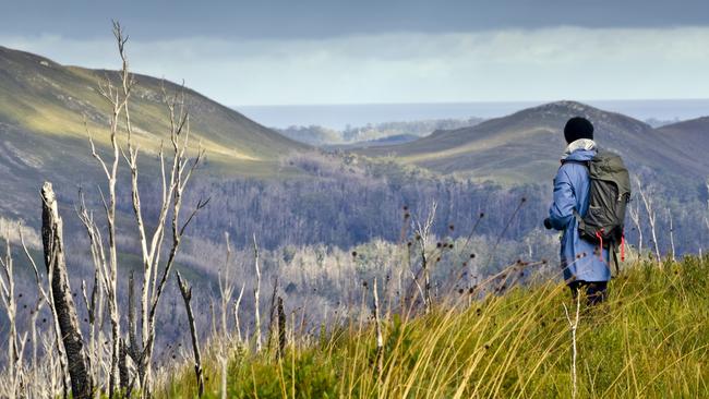 There’s plenty of opportunity for hiking in Tassie’s rugged wilderness.