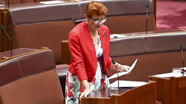 Senator Pauline Hanson during Question Time in the Senate at Parliament House in Canberra on Wednesday. Picture: NewsWire/Martin Ollman