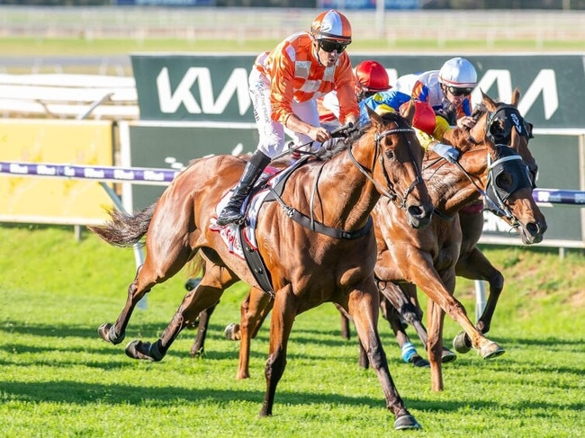 Western Empire winning the Gold Rush at Ascot Picture: Western Racepix