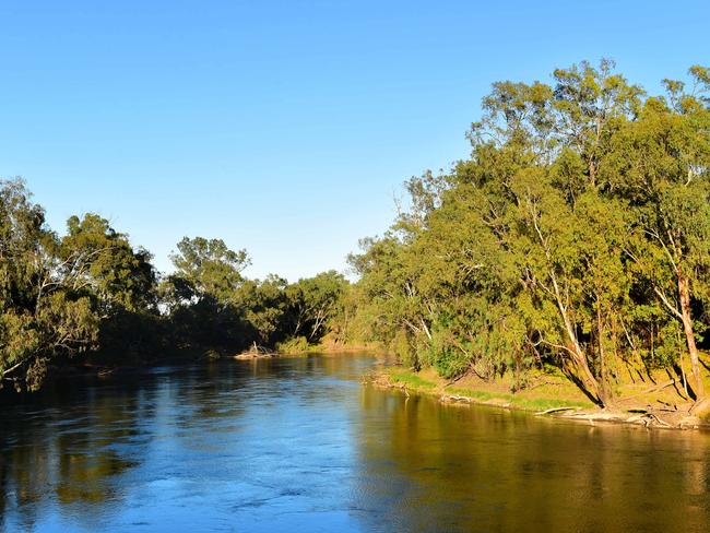 Life source: The Murrumbidgee River was a major factor in locating the hazelnut operation in the Riverina.<b/>