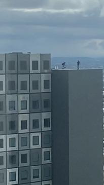 Melbourne skateboarder kick flips on top of 40 story building