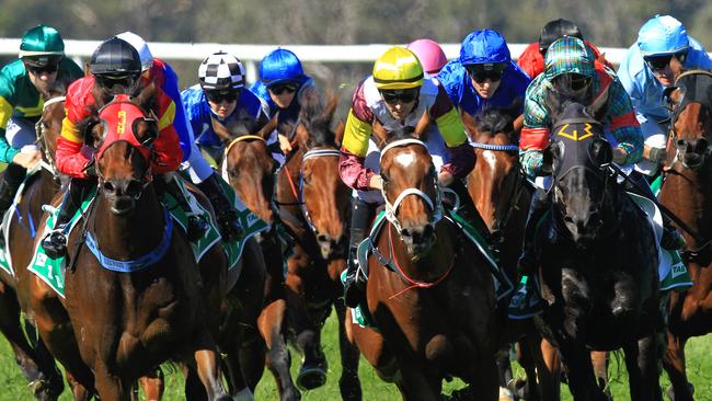 Racing ion New South Wales on Thursday is a Newcastle with the Provincial-Midway Championships Qualifier the feature event.