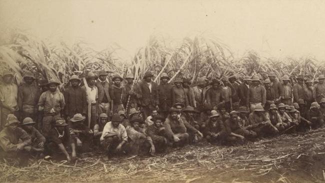 South Sea islanders Cutting Cane, ca. 1906. South Sea islanders harvesting sugarcane in Bundaberg that were integral to the local economy. Source: John Oxley Library, State Library of Queensland