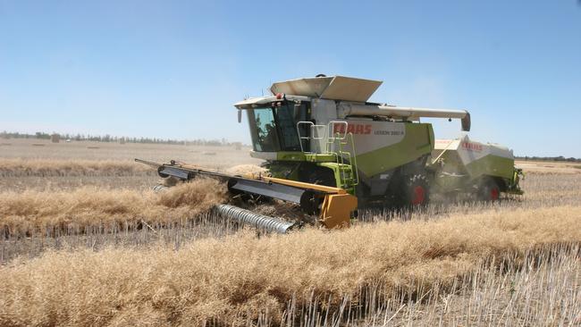 Getting prepared: Bingham Agriculture, based in Victoria, have already been sending workers and headers to NSW and Queensland ahead of harvest, due to border restriction concerns.