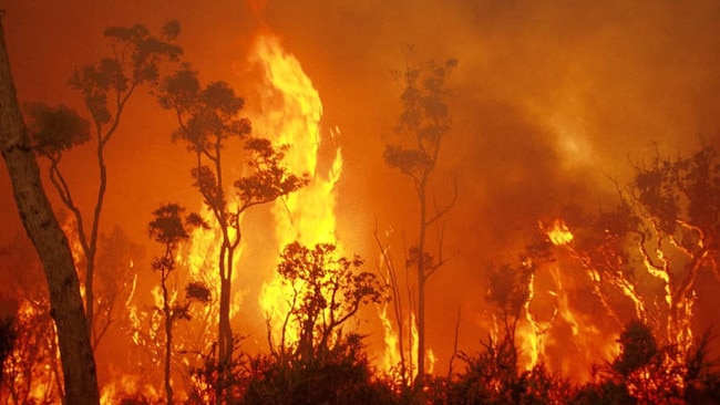 The current bushfire emergency shows no sign of easing in northern NSW &amp; southern Queensland. Picture: Fire &amp; Rescue NSW