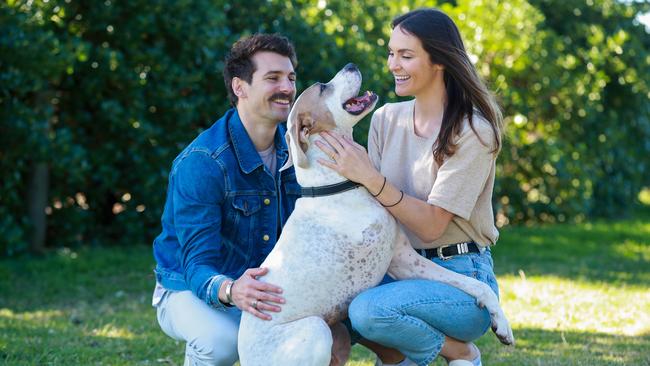 Matt Johnson and Laura Byrne with their dog Buster. Picture: Justin Lloyd