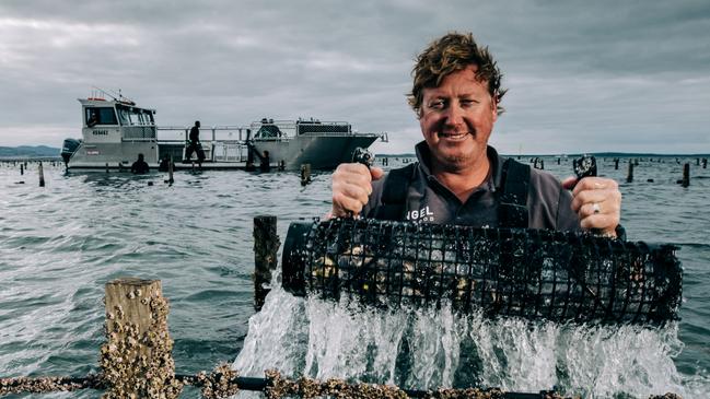 Angel chief executive Zac Halman checking stock in Coffin Bay. Picture: Robert Lang