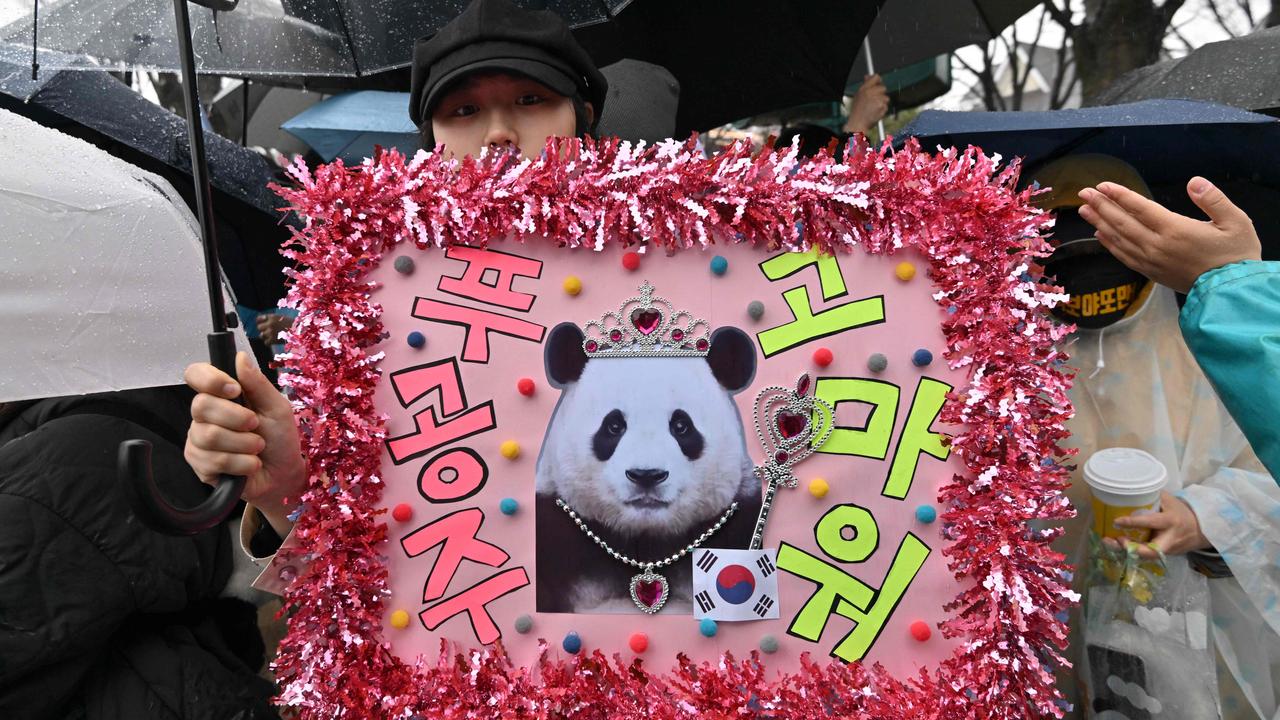 This fan holds a homemade sign that says: “Thank you, Princess Fu.” Picture: Jung Yeon-je/AFP