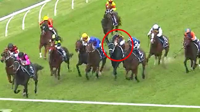 King Of Florida (circled) can improve markedly off his Australian debut at Rosehill on June 29.