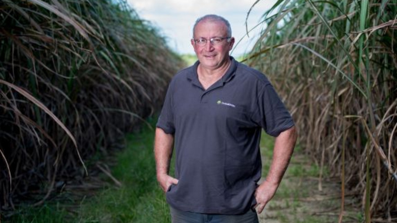 Unexpected big wet unlikely to impact cane season in positive fashion | The  Cairns Post