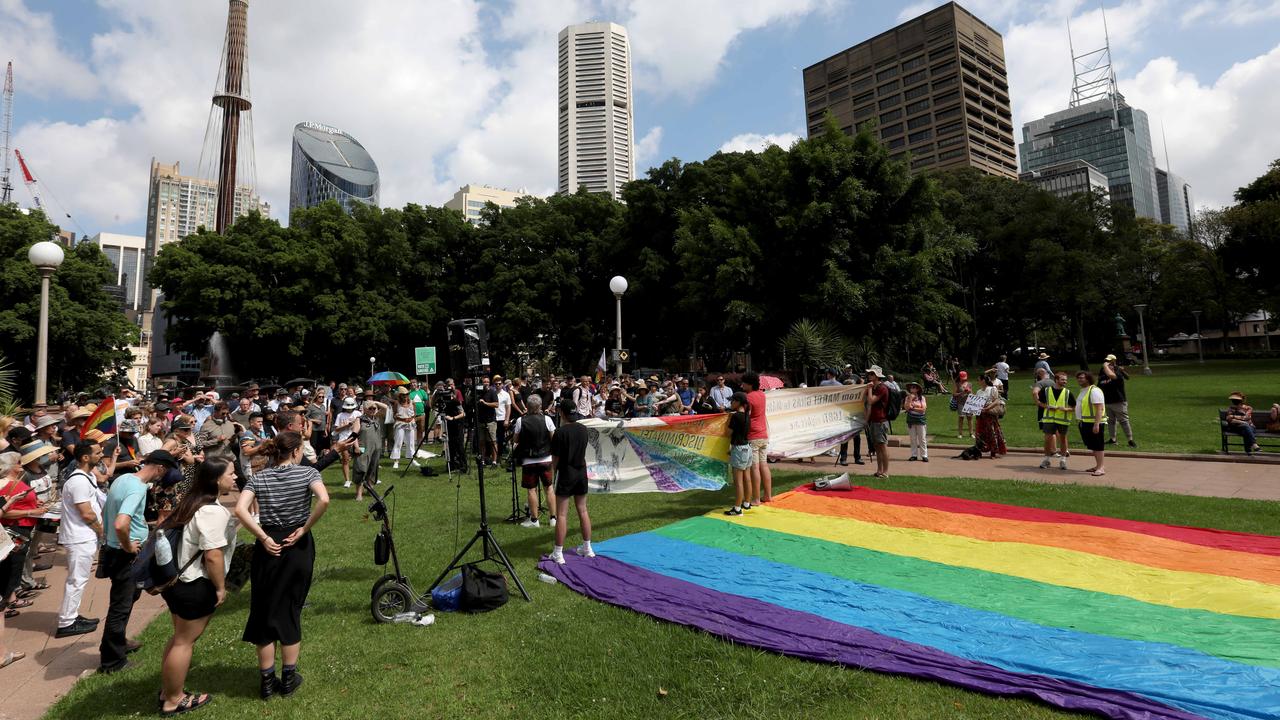 Protesters carried ae flag through the park. Picture: NCA NewsWire / Damian Shaw