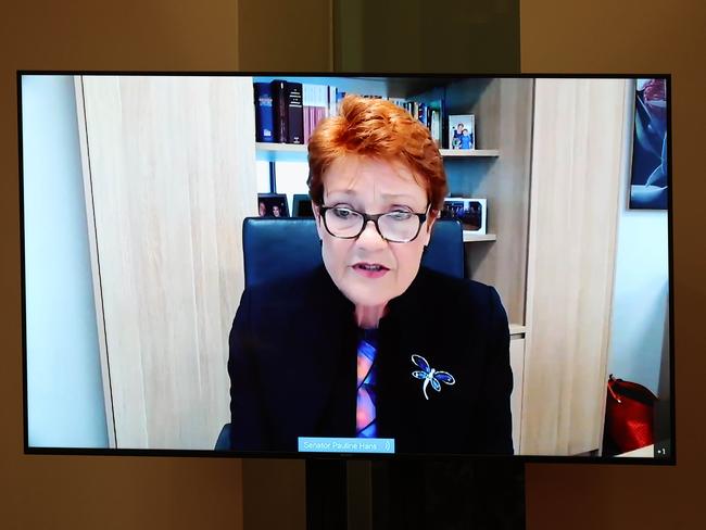 Pauline Hanson via video conference in the Senate Chamber on Monday. Picture: NCA NewsWire/Gary Ramage