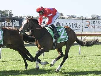 Kazotsky (number 2) is ready to break through for his maiden win at Kembla. Picture: Bradley Photos