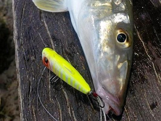 How to make the most of your set of lures