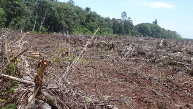 land clearing Indonesia Jan 2022