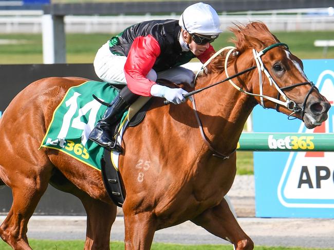 Xtra Gear ridden by Jye McNeil wins the DMB Contracting Three-Years-Old Fillies Maiden Plate at Geelong Racecourse on September 05, 2021 in Geelong, Australia. (Reg Ryan/Racing Photos via Getty Images)