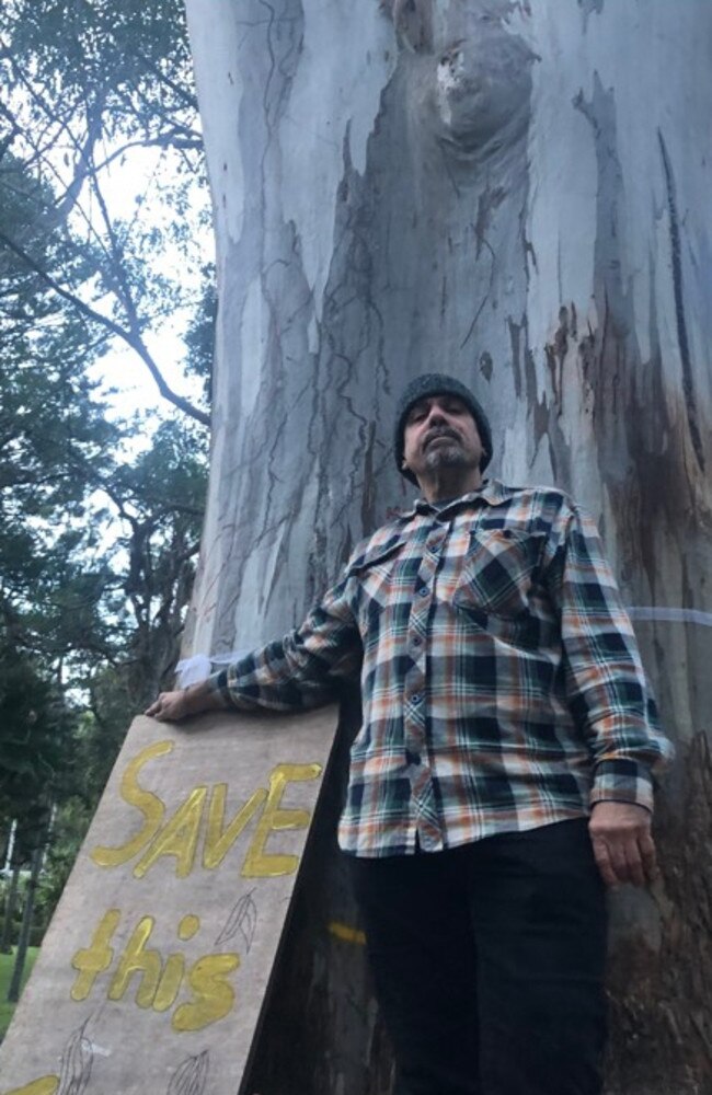 Paul Johnson, a long time resident of Ruskin Rowe, who organised a community blockade to prevent Northern Beaches Council contractors from cutting down two 70-years gum trees. Picture: Jim O’Rourke