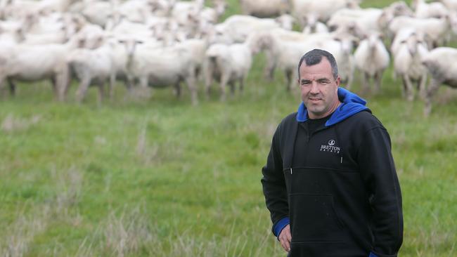 Scott Nicholson of Campbells Bridge will be taking more than 20 rams to the Victorian State Merino Field day at Marnoo on Friday. Picture: Yuri Kouzmin