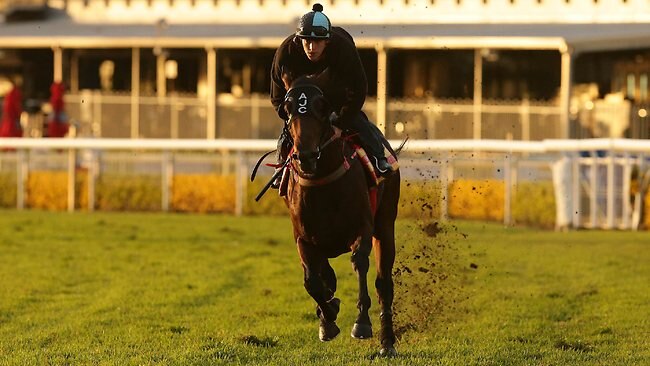 Jockey Hugh Bowman shrugs off Your Song s wide draw for Doomben 10 000 news Australia s leading news site