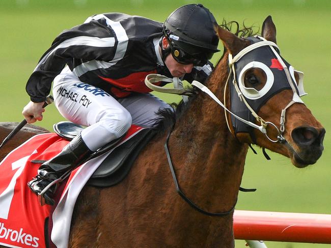 MELBOURNE, AUSTRALIA - JUNE 15: Michael Poy riding Jungle Edge winning Race 3 during Melbourne Racing at Sandown Lakeside on June 15, 2019 in Melbourne, Australia. (Photo by Vince Caligiuri/Getty Images)