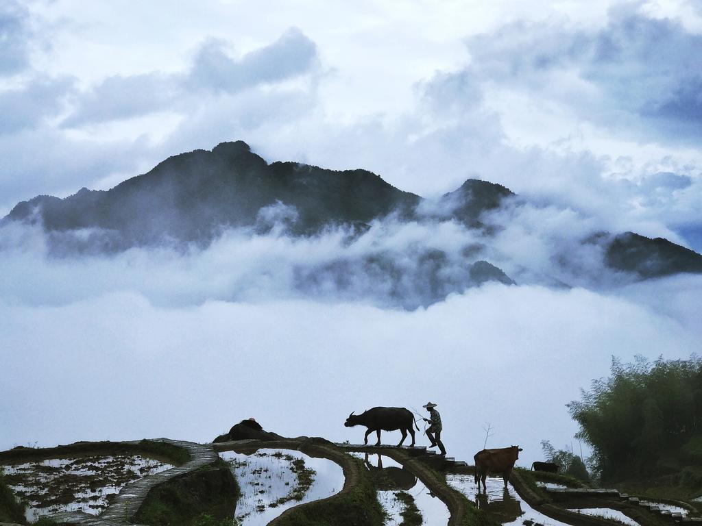 Mobile Phone Awards 2017 - Niujiao Mountain, China. Shot on an iPhone. Picture: Yong Mei Wang