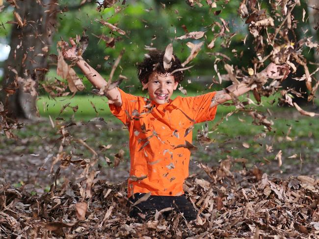 BOM autumn’s prediction: More rain than summer and maybe a cyclone