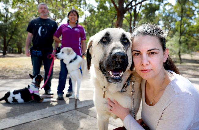 Jason Nicholds with bull terrier Gretel, Animal rescue volunteer Adriana Gonzalez with her Anatolian shepherd George and Pet Journalist Caroline Zambrano with her Anatolian shepherd Cruz. Picture: AAP Image / Angelo Velardo