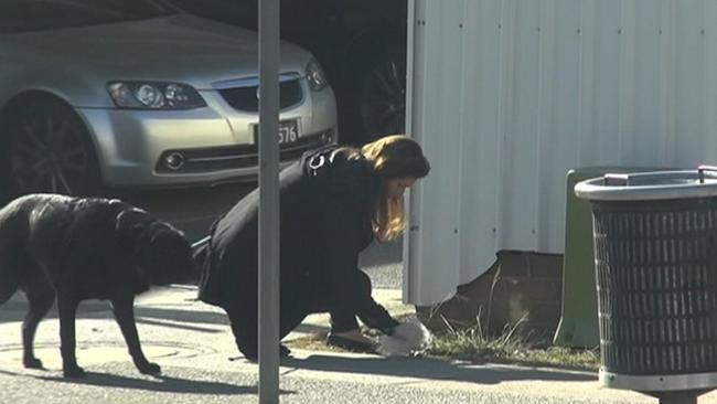 One of Emma Husar’s staff members taking Husar's dog for a walk. (Pic: Seven News)