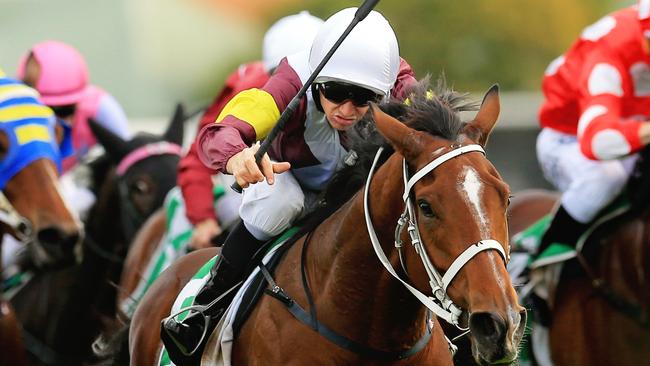 Vassal (SR7) is Ray’s best bet for the Randwick meeting. Picture: Mark Evans