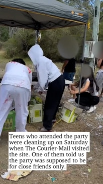 Ambos pelted with rocks at wild party