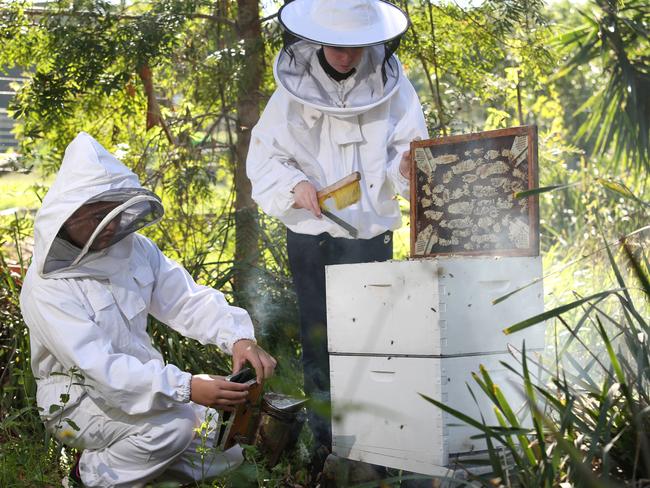 Students of Bossley Park High School entered their home grown honey into the Easter Show contest this year and they scored first place. Picture: Robert Pozo