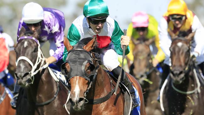 Castelvecchio won the inaugural Inglis Millennium in 2019. Picture: Getty Images